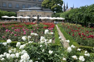 Rosengarten der Neuen Residenz Bamberg © Archiv des BAMBERG Tourismus & Kongress Service